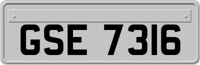 GSE7316