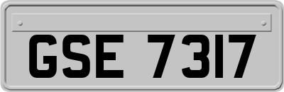 GSE7317