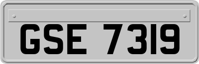 GSE7319