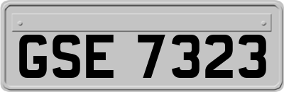 GSE7323