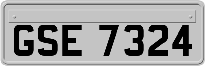 GSE7324