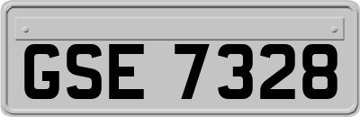 GSE7328