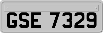 GSE7329