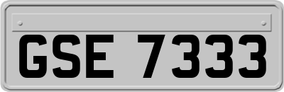 GSE7333