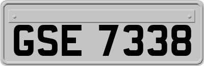 GSE7338