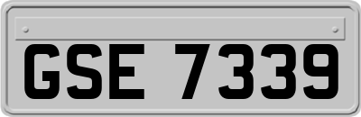 GSE7339