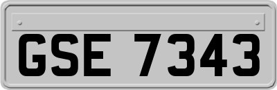 GSE7343