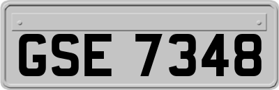 GSE7348