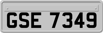 GSE7349