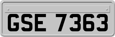 GSE7363