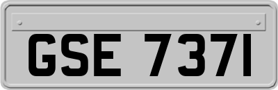 GSE7371