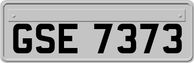 GSE7373