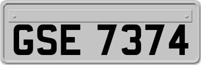 GSE7374