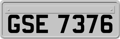 GSE7376