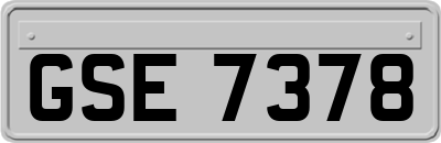 GSE7378