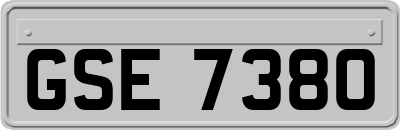 GSE7380