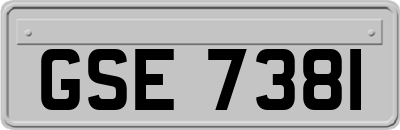 GSE7381
