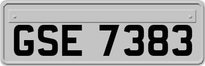 GSE7383