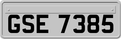 GSE7385