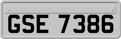 GSE7386
