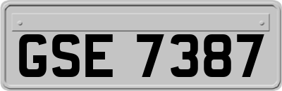 GSE7387