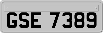 GSE7389