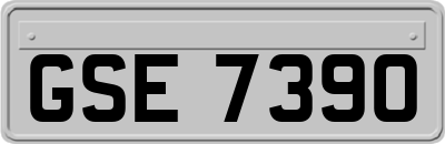 GSE7390