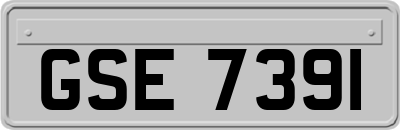 GSE7391