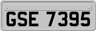 GSE7395