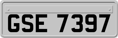 GSE7397
