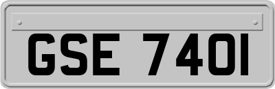 GSE7401