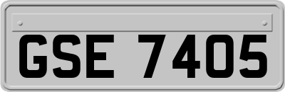 GSE7405