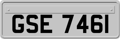 GSE7461