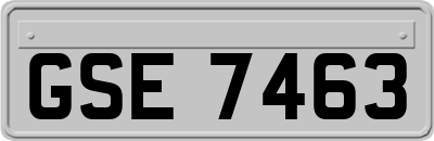 GSE7463