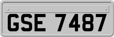 GSE7487