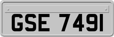 GSE7491
