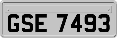 GSE7493