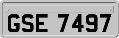 GSE7497