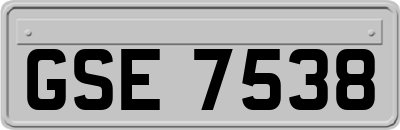 GSE7538