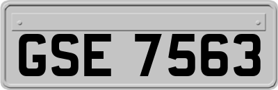 GSE7563
