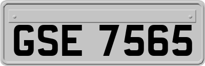 GSE7565