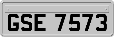 GSE7573