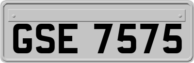 GSE7575