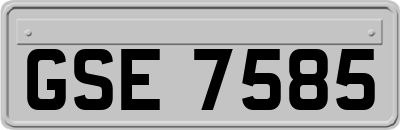 GSE7585