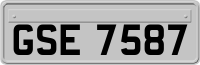 GSE7587