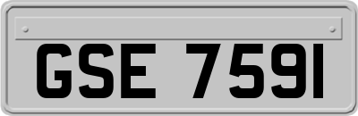 GSE7591