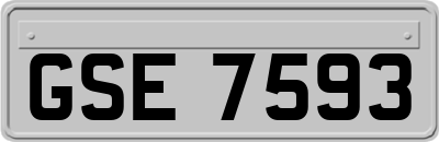 GSE7593