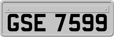 GSE7599