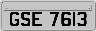 GSE7613