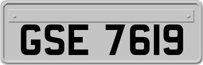 GSE7619